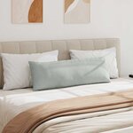 vidaXL Coussins de canapé 2 Pièces Gris clair 120 x 40 cm