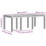 vidaXL Table de Jardin Gris clair 200 x 100 x 73 cm polyrotin