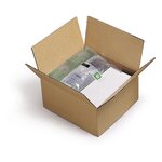 Coussin d'air gonflable rapid fill 46x58 cm (lot de 250)