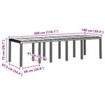 vidaXL Table de jardin pour repas Anthracite 300 x 100 x 73 cm