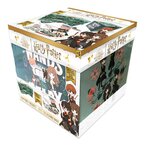 Coffret secret Harry Potter