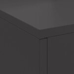 vidaXL Braise Noir 60 x 40 x 96 cm Acier