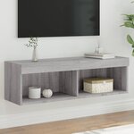 vidaXL Meuble TV avec lumières LED sonoma gris 100x30x30 cm