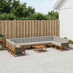 vidaXL Ensemble de canapés d'extérieur 11 Pièces Naturel et gris clair
