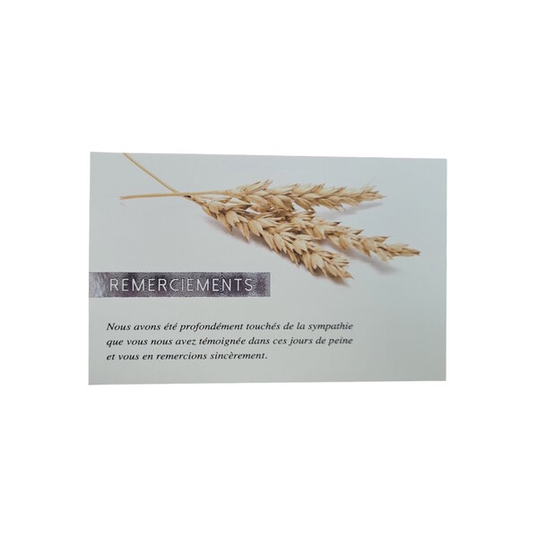 Carte De Voeux - Condoléances - 5 Cartes Remerciements Deuil