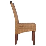 vidaXL Chaises à manger lot de 2 marron rotin naturel