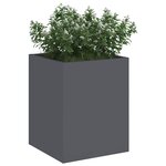 vidaXL Cache-pot de jardin Anthracite Acier laminé à froid