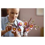 11510 Branches de magnolia ® Botanicals