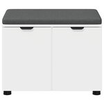 vidaXL Banc d'entrée avec coussin avec stockage Blanc 60 x 38 x 46 cm