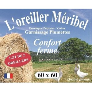 2 Oreillers MERIBEL Plumettes 60 x 60 cm
