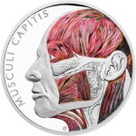 Pièce de monnaie en Argent 1 Dollar g 31.1 (1 oz) Millésime 2025 Human Body HEAD MUSCLES (PRÉCOMMANDE)