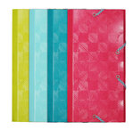 Chemise à élastiques 3 rabats carte lustrée gaufrée pelliculée 1928 - 23  5x12cm - couleurs assorties - x 12 - exacompta