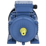 vidaXL Moteur électrique triphasé Aluminium 4kW/5 5 CH 2840 tr/min