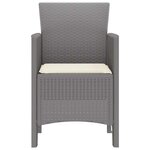 vidaXL Chaise de jardin 2 Pièces Gris clair 53 x 49 x 85 cm PP