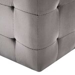 vidaXL 2 Pièces Poufs Gris 30 x 30 x 30 cm Tissu velours