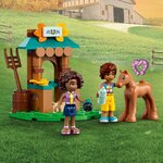 41730 La maison dAutumn ® Friends