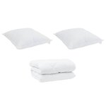 vidaXL Duvet d'hiver avec oreiller 3 Pièces Blanc 200 x 200 cm Microfibre