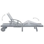 vidaXL Chaise longue de jardin avec coussin Bois d'acacia solide