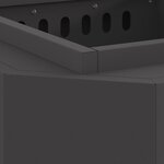 vidaXL Foyer sans fumée Noir 48 x 48 x 51 cm Acier