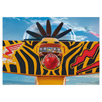 70902  Stuntshow avion a helice tigre