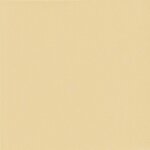 vidaXL Abri de jardin 6 x 3 m Crème Polyester et Acier 190 gsm