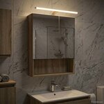 vidaXL Armoire Miroir de Salle de Bain Chêne Sonoma 50 x 14 5 x 70 cm