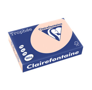Ramette 250 Feuilles Papier 160g A4 210x297 mm Certifié FSC SAUMON CLAIREFONTAINE