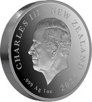 Pièce de monnaie en Argent 1 Dollar g 31.1 (1 oz) Millésime 2024 CAVE TANIWHA