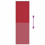 vidaXL Store enrouleur occultant rouge largeur du tissu 70 7 cm