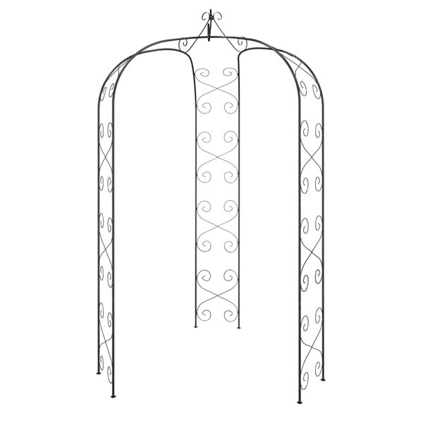 vidaXL Arche de jardin Noir Ø180x255 cm Acier