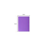 Paquet De 25 Chemises Double Poche Rock''s 210 - Double A4 Ou A3 - 24x32cm - Violine - X 10 - Exacompta