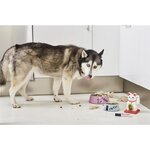 Marqueur Permanent 500 Orange 2-7 mm EDDING