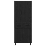 vidaXL Haut Armoire 2 Pièces Chêne noir Bois Aggloméré et Verre
