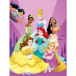 Grande carte princesses disney - draeger paris