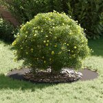 vidaXL adapté pour anneaux d'arbre plats 5 Pièces Noir Ø50 / 80 cm Acier