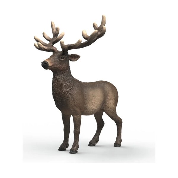 Schleich 14992 - Wild Life Élan d'Amérique