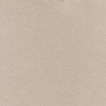 vidaXL Couvertures à jeter 6 Pièces Beige 200 x 150 cm Toison