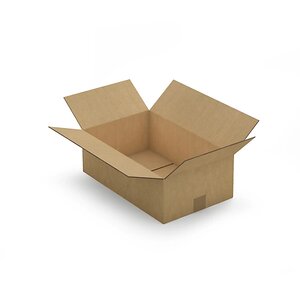 Caisse carton brune double cannelure raja 45x28x15 cm (lot de 15)