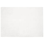 vidaXL Tapis en Fourrure Synthétique de Lapin Olite Blanc 160 x 230 cm