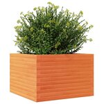vidaXL Jardinière cire marron 70x70x46 cm bois de pin massif