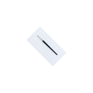 Outil double pointe : C. SHAPER n° 6 Ferme Biseau Plat + Pinceau soie porc