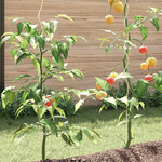 vidaXL Supports de plantes en spirale 20 Pièces Acier galvanisé 110 cm