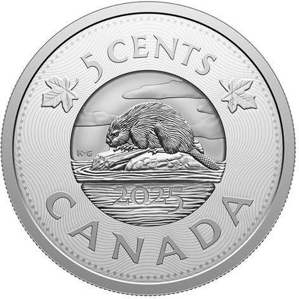 Pièce de monnaie en Argent 5 Cents g 110.66 Millésime 2025 MULTILAYERED BEAVER