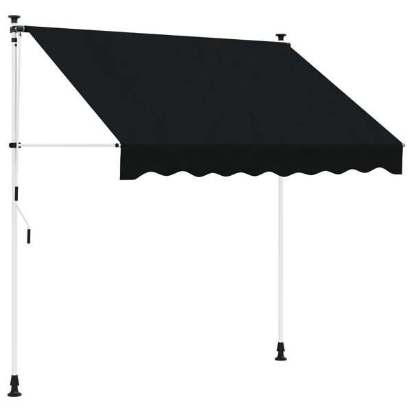 vidaXL Auvent rétractable manuel Noir 100 cm