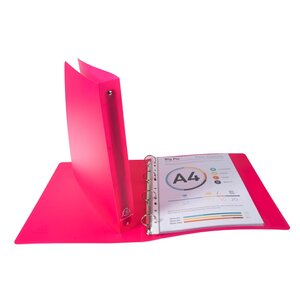 10 Classeurs 4 anneaux PP Chromaline (avec étiquette de dos) - A4 maxi  couleur aléatoire EXACOMPTA