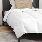 vidaXL Duvet d'été simple avec oreiller 2 Pièces Blanc Plume de canard