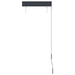 vidaXL Store roulant d'extérieur 60 x 250 cm Anthracite