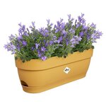 Balconnière ovale avec réservoir 50 x 18 2 hauteur 17 cm - Jaune miel