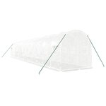 vidaXL Serre avec cadre en acier blanc 24 m² 12x2x2 m