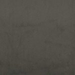 vidaXL Cadre de lit sans matelas gris foncé 200x200 cm velours